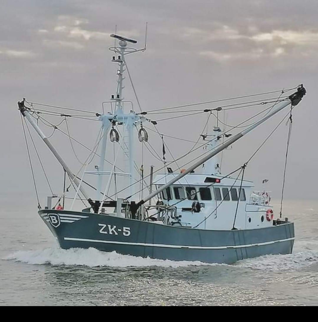 ZK-5